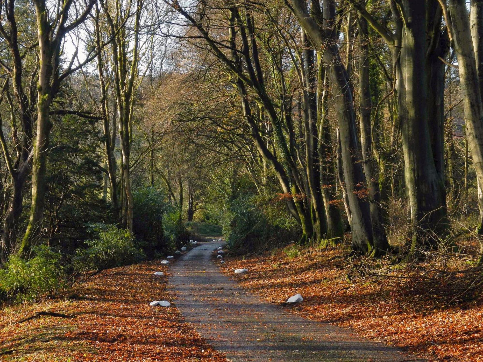 Machermore Castle นิวตันสจวร์ต ภายนอก รูปภาพ